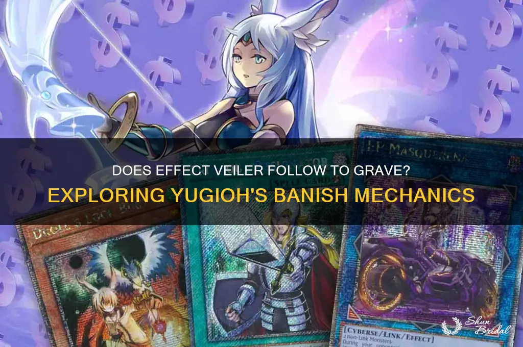 does effect veiler follow to grave