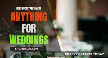 Eucalyptus Weddings: Fresh, Fragrant, and Meaningful