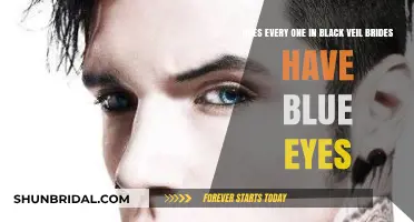 Black Veil Brides' Eye Color: Do All Members Have Blue Eyes?
