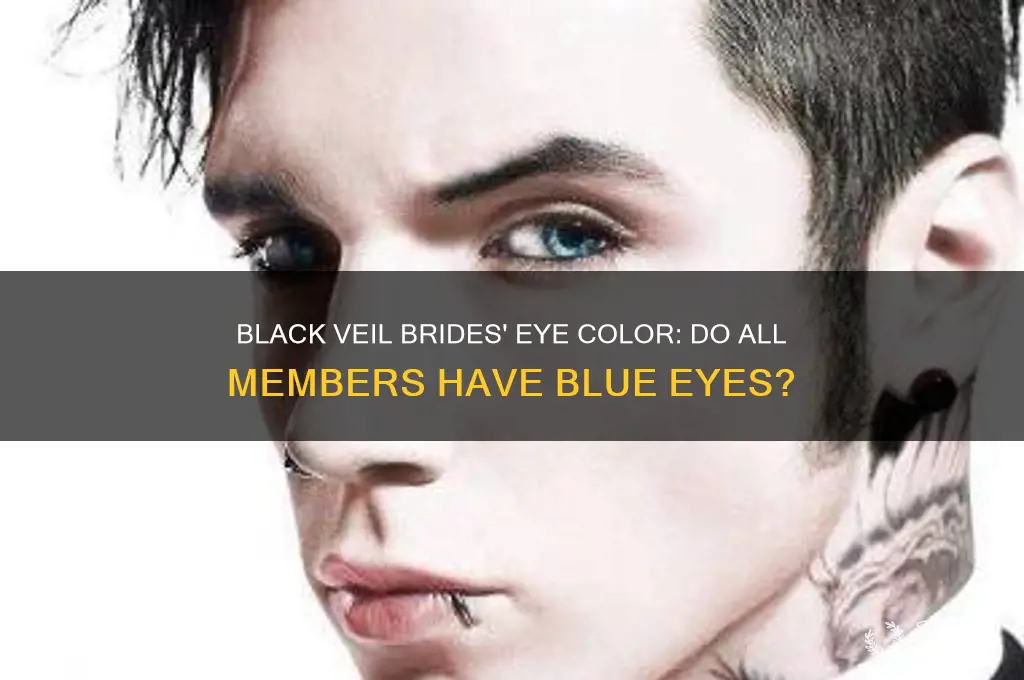 does every one in black veil brides have blue eyes