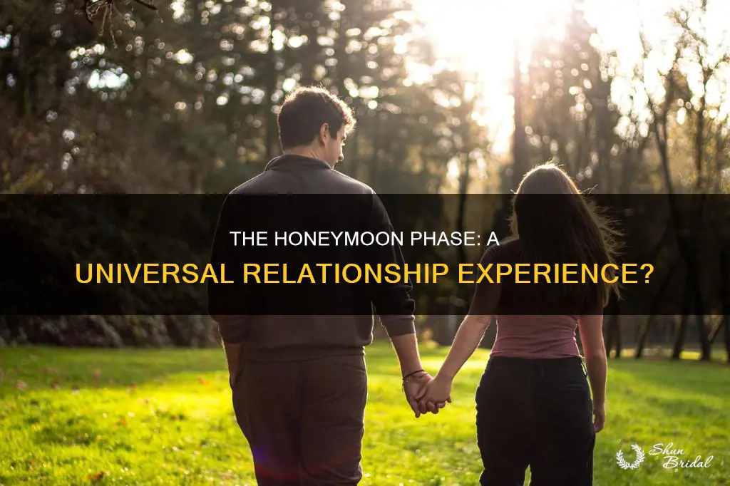 does everyone go through honeymoon period