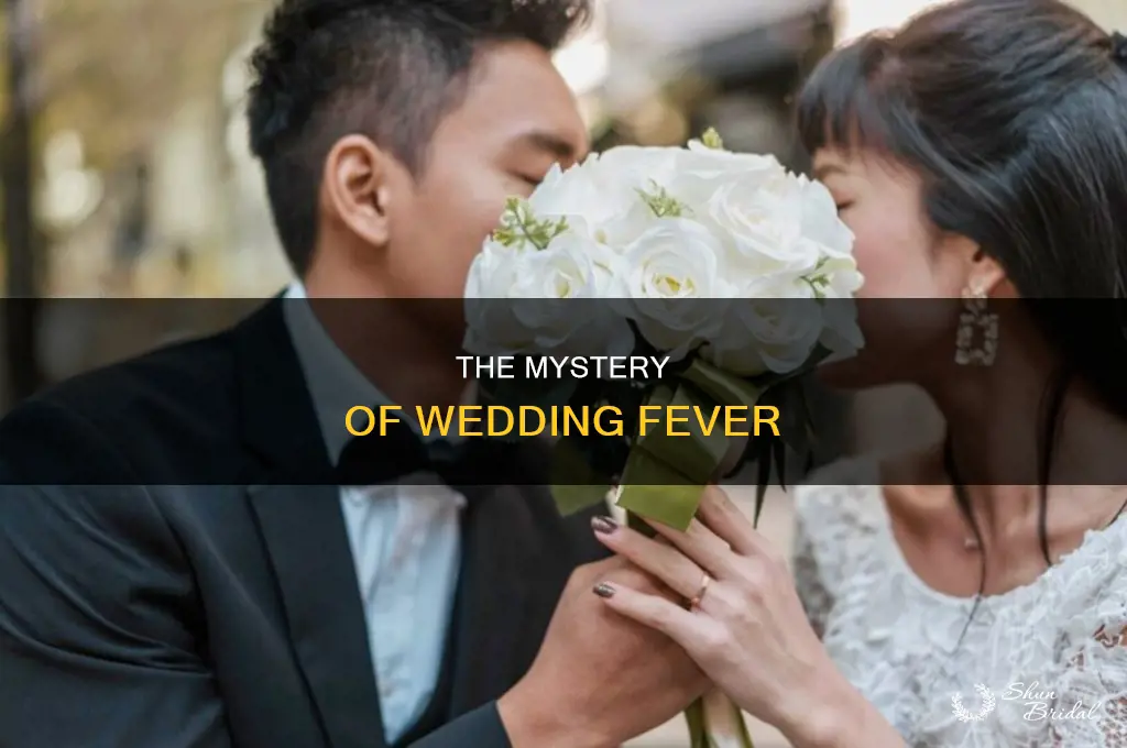 does fever come from the wedding