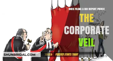 Does Filing a BOI Report Pierce the Corporate Veil?
