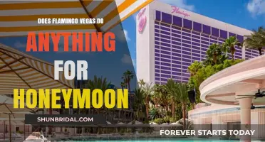 Romantic Getaway: Flamingo Las Vegas Honeymoon Packages and Experiences