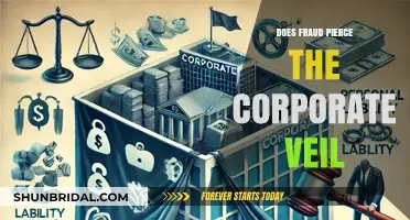 Does Fraud Pierce the Corporate Veil? Legal Insights and Implications