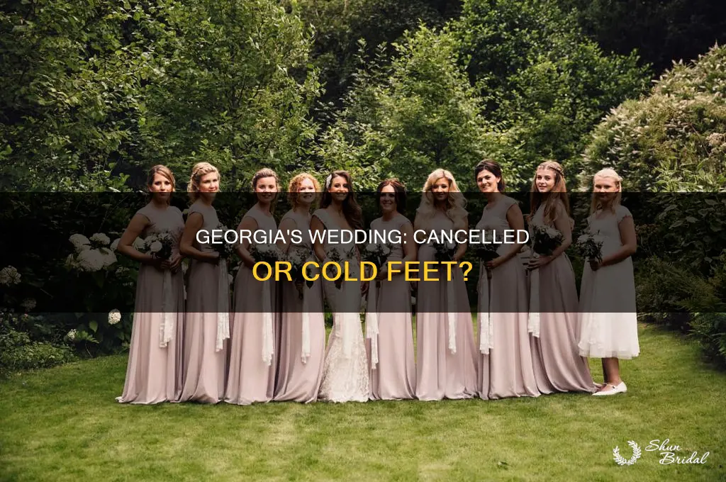 does georgia cancel the wedding