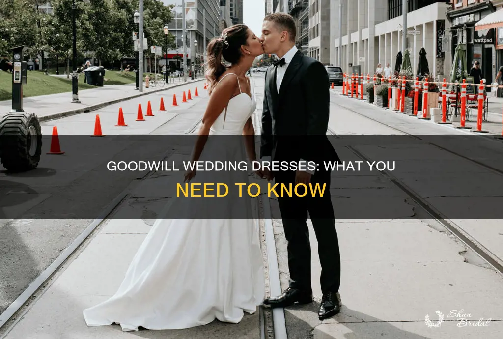 does goodwill accept wedding dresses