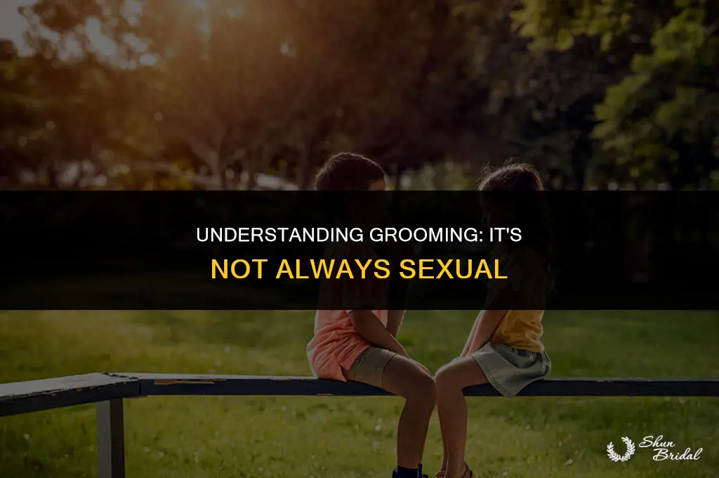 does grooming have to be sexual