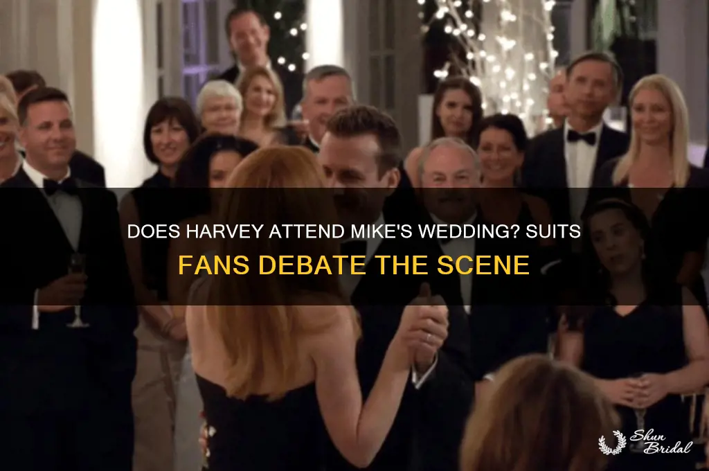 does harvey go to mike