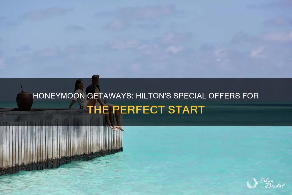 does hilton do specials for honeymoons