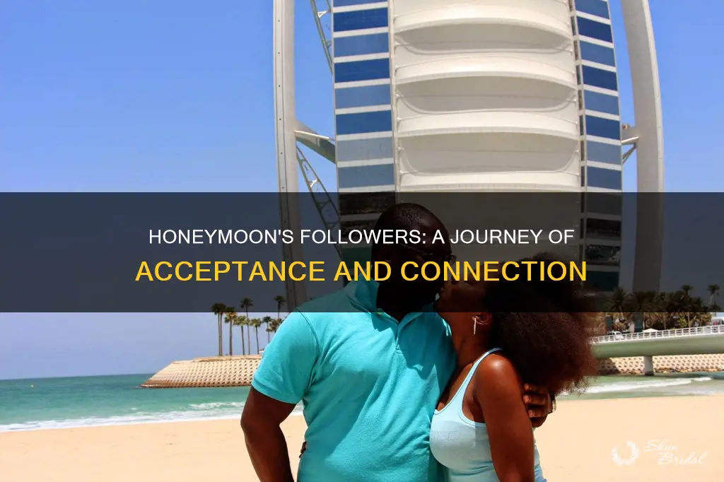 does honeymoon accept followers