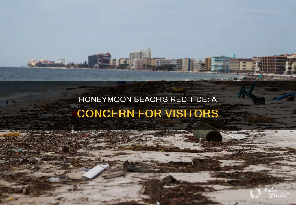 does honeymoon beach have red tide