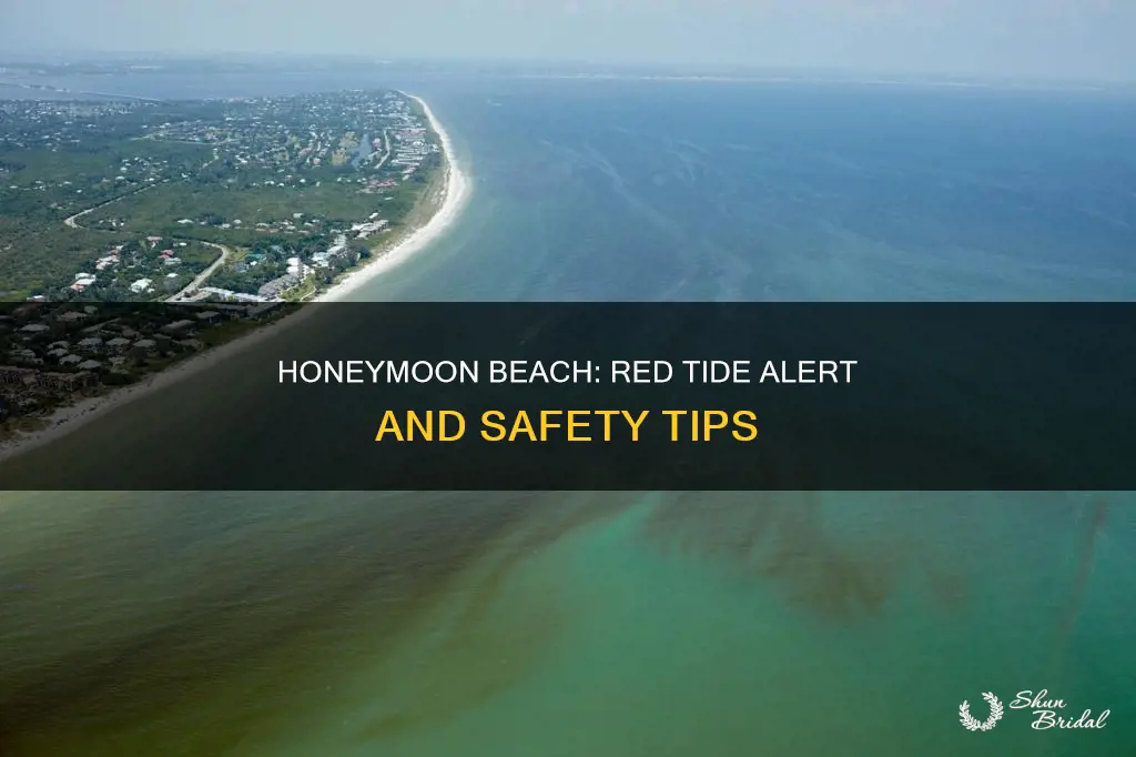 does honeymoon beach have red tide