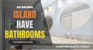 Honeymoon Island's Facilities: Exploring the Island's Amenities