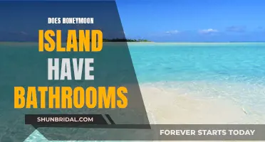 Honeymoon Island's Bathroom Facilities: What to Expect