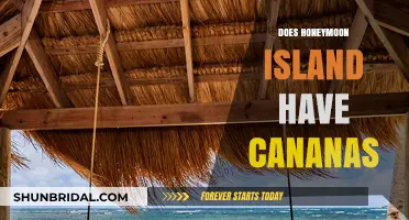 Honeymoon Island Cabanas: Are They Available for Your Tropical Getaway?