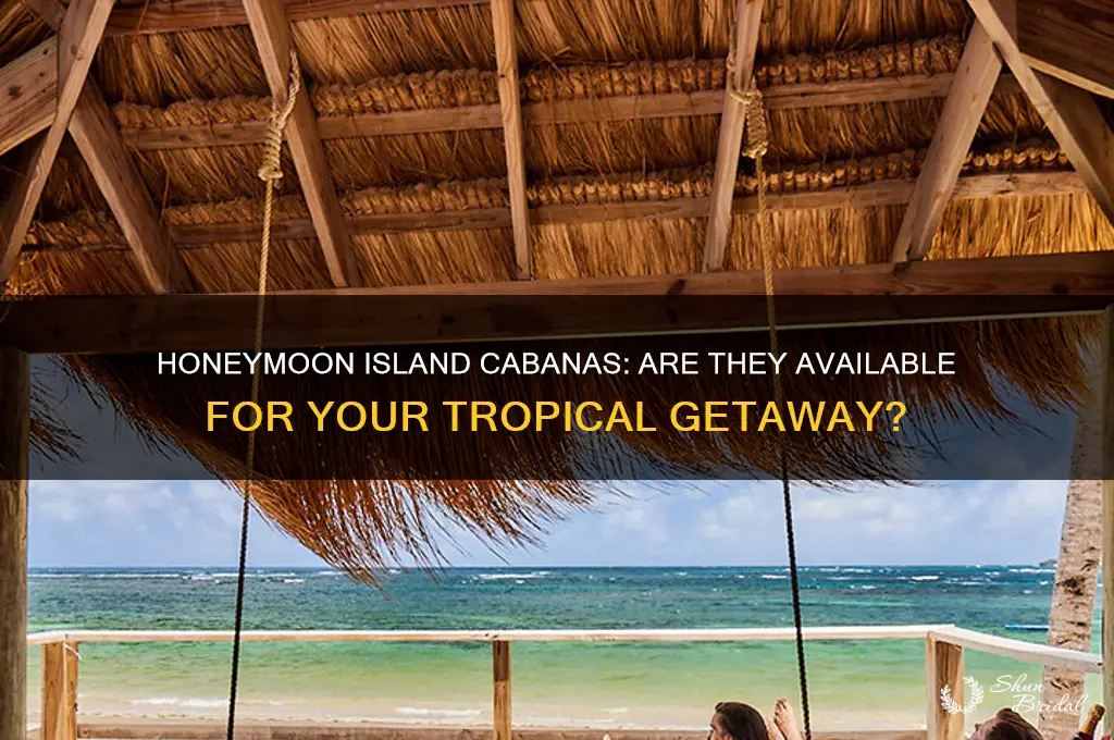does honeymoon island have cananas