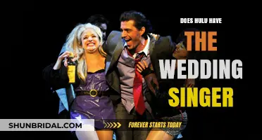 Hulu's Wedding Singer: Is it Available to Stream?
