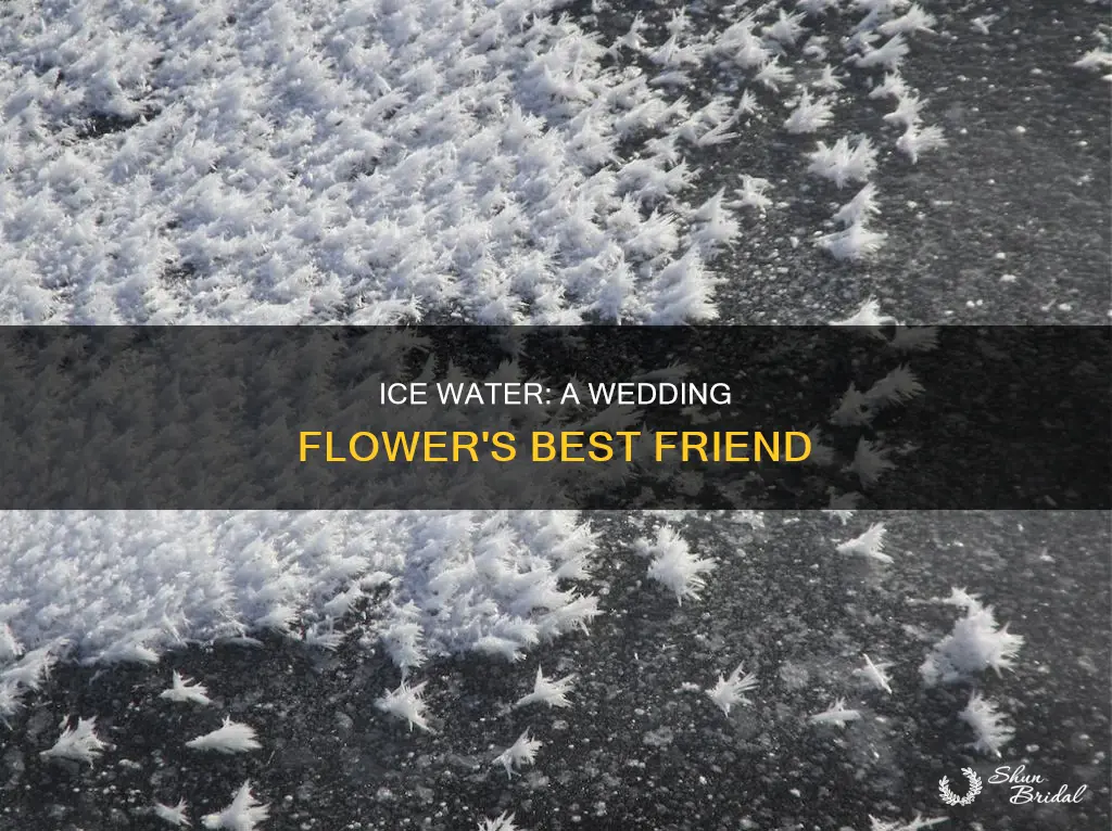 does ice water help flowers wedding