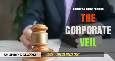 Iowa's Corporate Veil: Understanding Piercing Liability Laws for Businesses