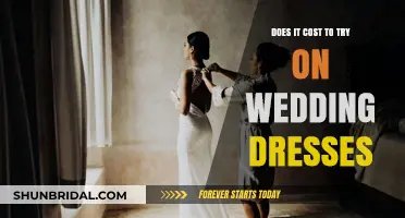 Trying on Wedding Dresses: What's the Cost?