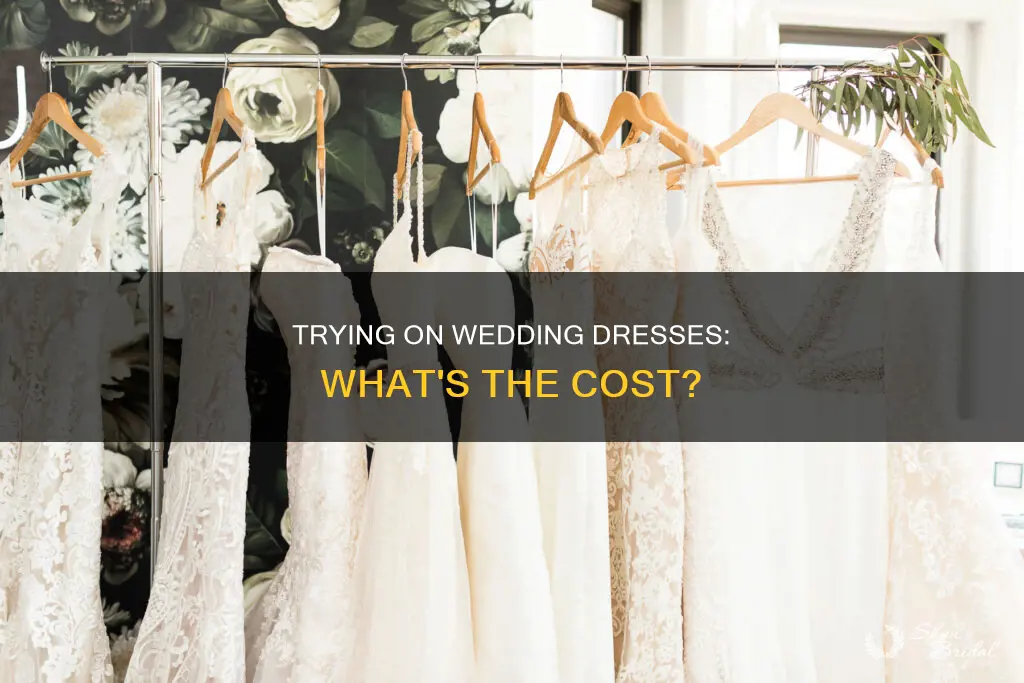 does it cost to try on wedding dresses
