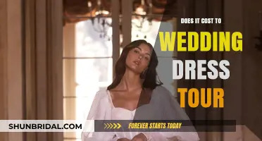 Exploring Wedding Dress Costs: A Tour