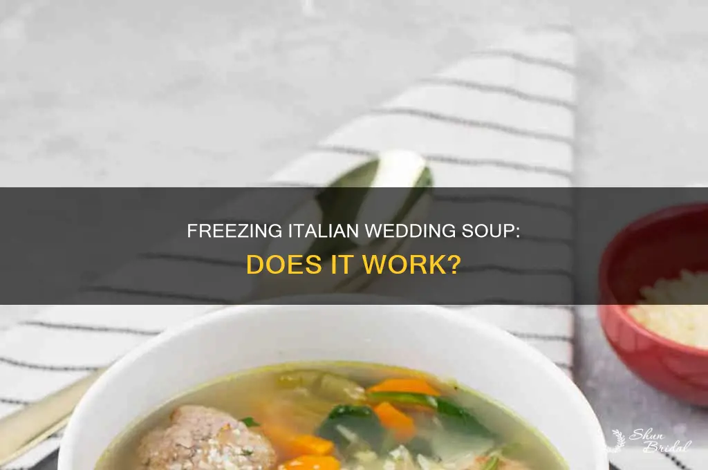 does italian wedding soup freeze well