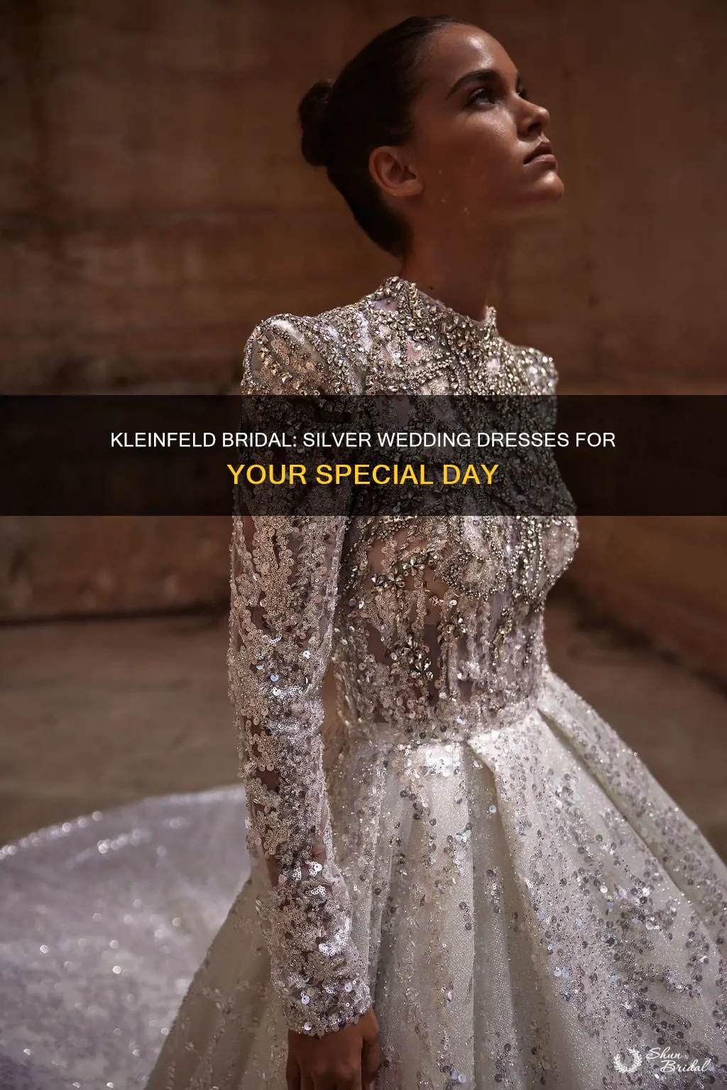 does kleinfeld bridal sell silver wedding dresses