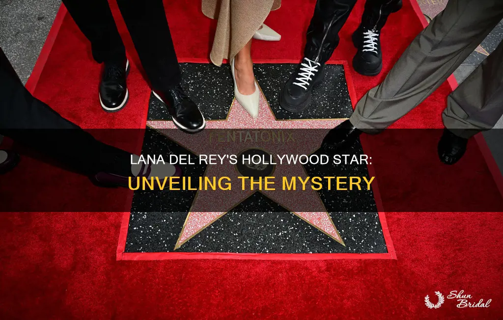 does lana del rey have a hollywood star