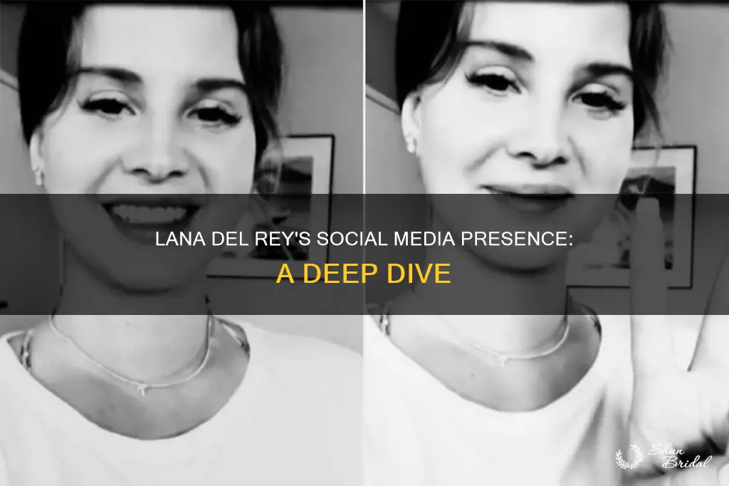 does lana del rey have social media