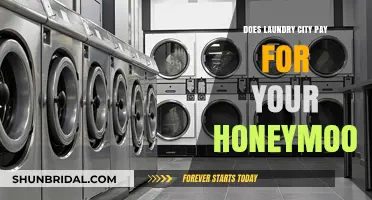 Laundry City Honeymoon Deal: Fact or Fiction? Unveiling the Truth