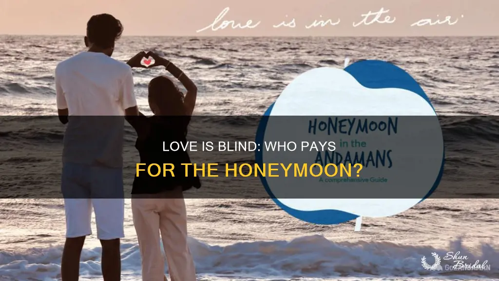 does love is blind pay for the honeymoon