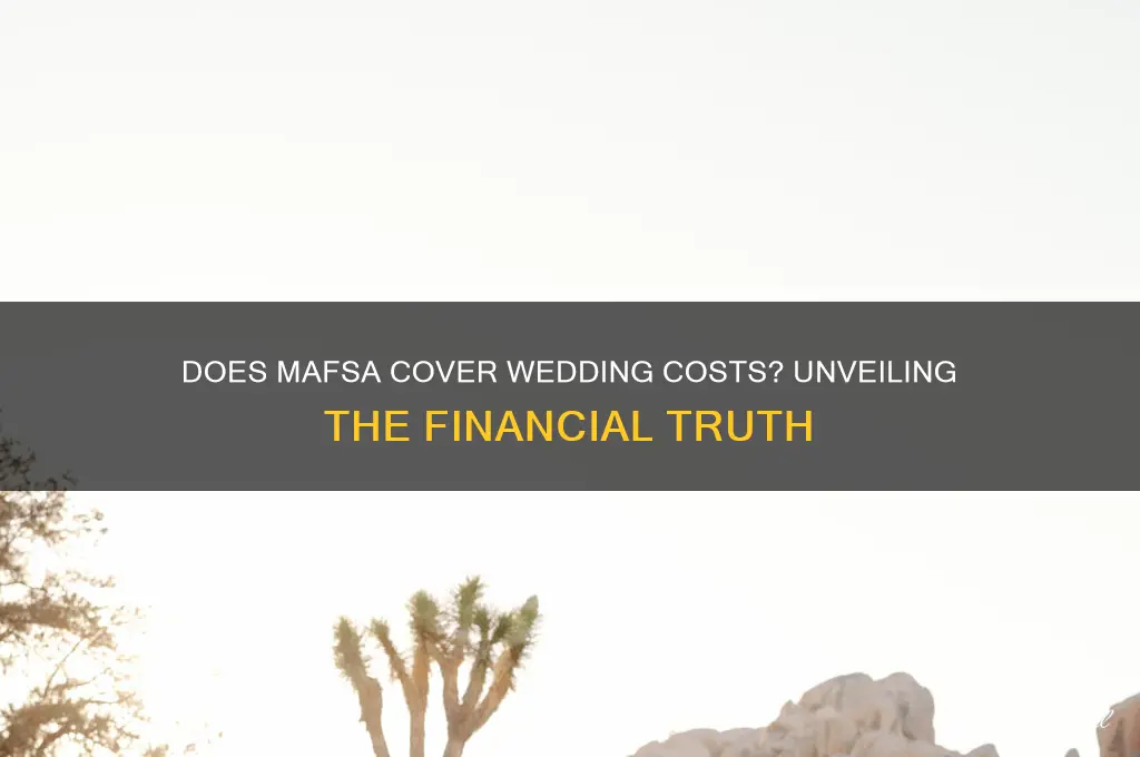 does mafs pay for wedding