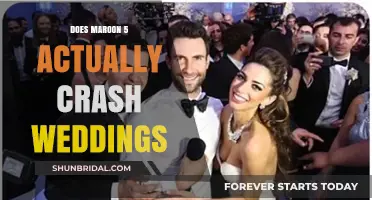 Maroon 5's Wedding Crashing: Fact or Fiction?