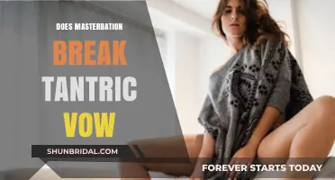 Does Masturbation Violate Tantric Vows? Exploring Spiritual Boundaries