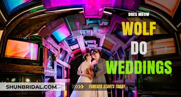 Meow Wolf Weddings: A Surreal Celebration