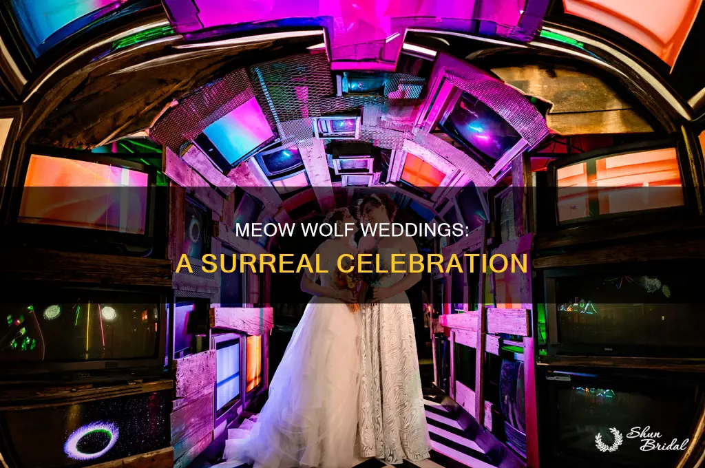 does meow wolf do weddings