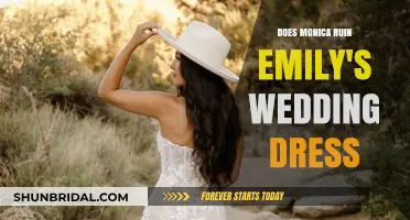 How Monica Saved the Day at Emily's Wedding
