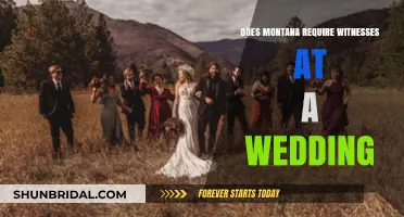 Witnesses at Montana Weddings: Who's Needed?