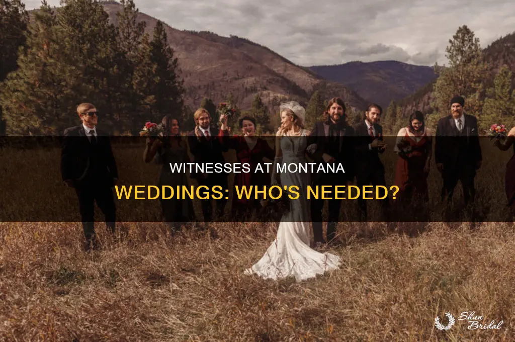 does montana require witnesses at a wedding