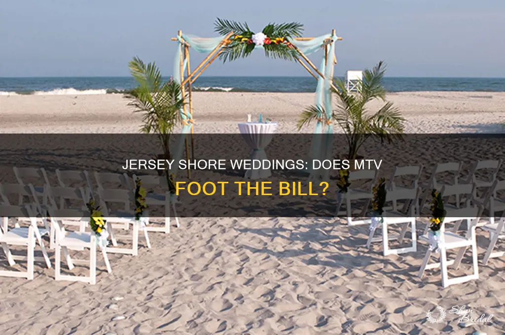 does mtv pay for jersey shore weddings
