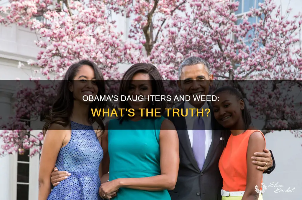 does obamas daughter smoke wed