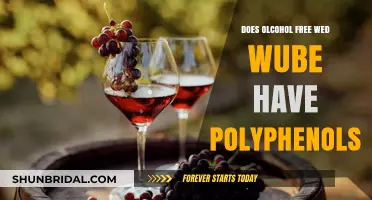 Alcohol-Free Red Wine: A Rich Source of Polyphenols?