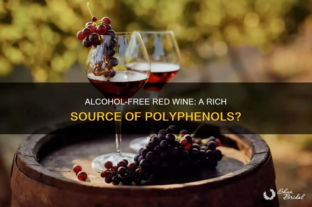 does olcohol free wed wube have polyphenols