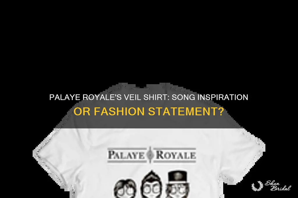 does palaye royale veil shirt come from a song