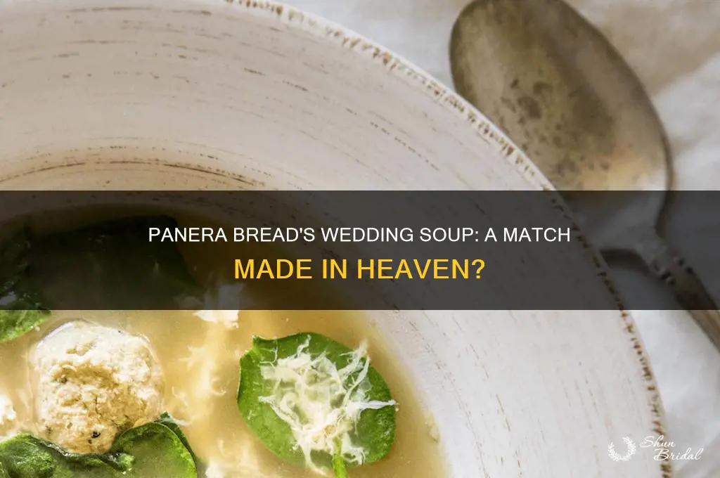 does panara bread have wedding soup