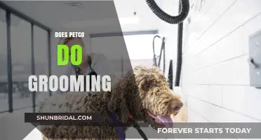 Pampering Your Pet: Exploring Petco's Grooming Services