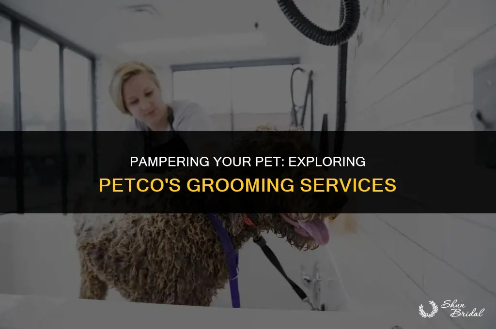 does petco do grooming