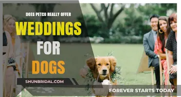 Petco's Dog Weddings: A Ceremony for Your Furry Friends